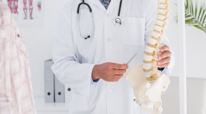 Modele anatomiczne – niezastąpione pomoc w edukacji i opiece zdrowotnej